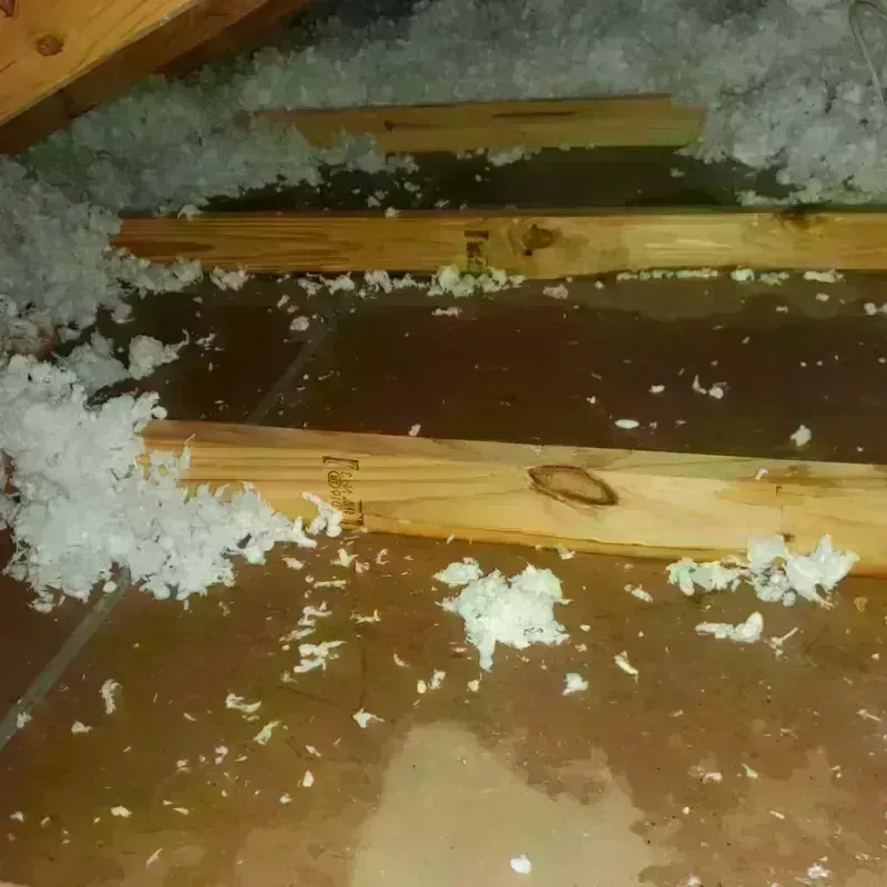 Attic Water Damage in Prairie View, TX