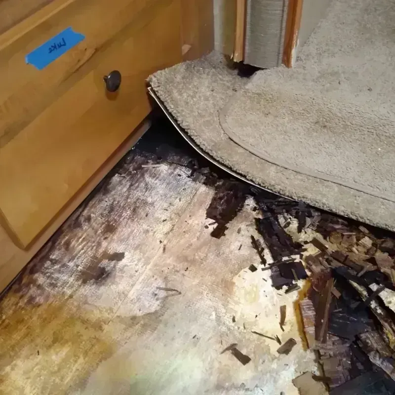 Wood Floor Water Damage in Prairie View, TX